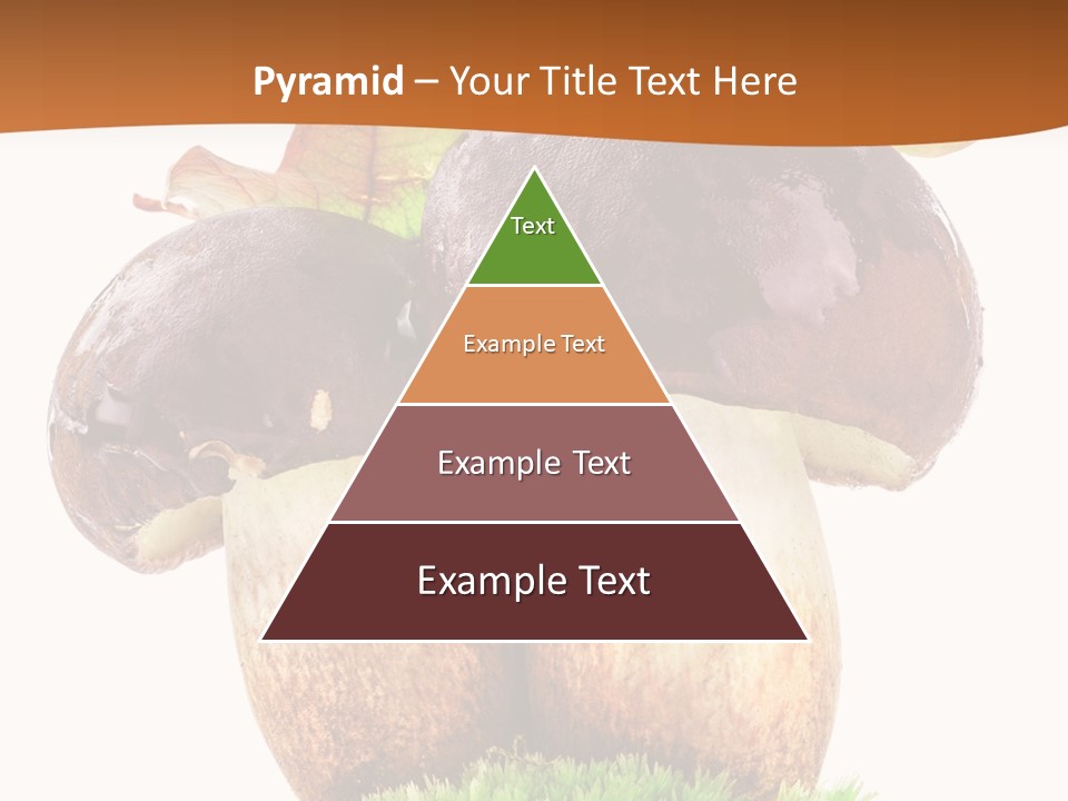 Isolated Eatable Leaf PowerPoint Template