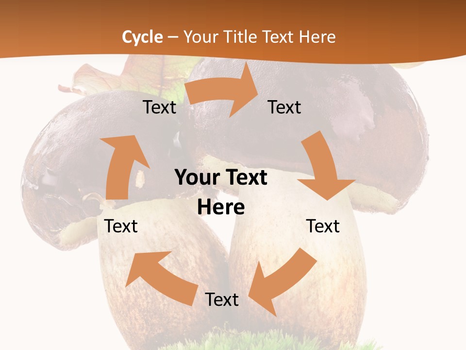Isolated Eatable Leaf PowerPoint Template