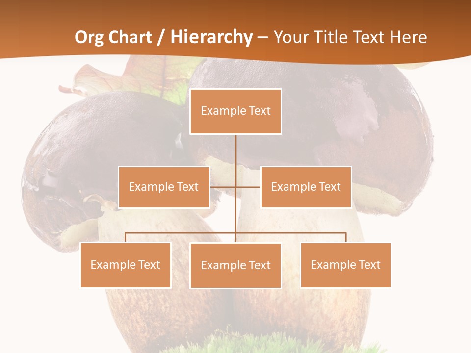 Isolated Eatable Leaf PowerPoint Template