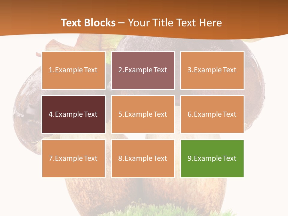 Isolated Eatable Leaf PowerPoint Template
