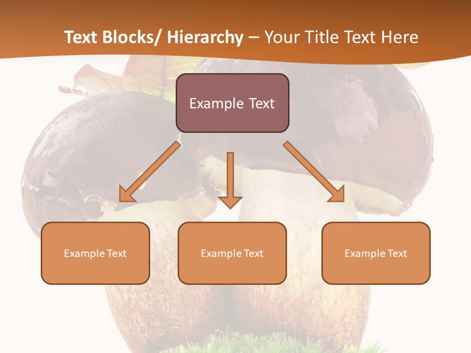 Isolated Eatable Leaf PowerPoint Template