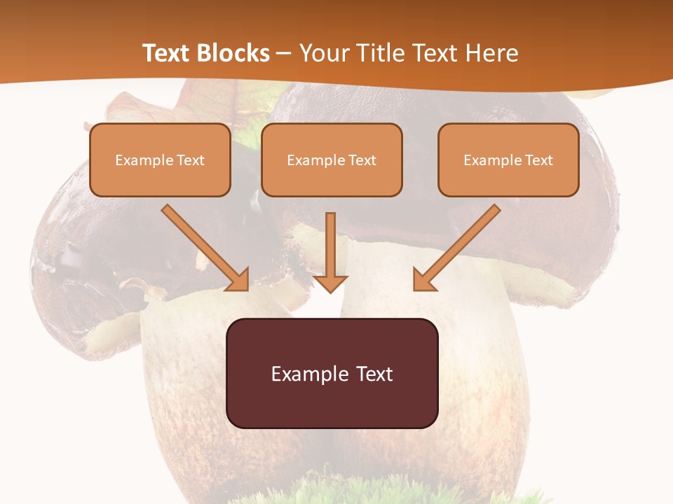Isolated Eatable Leaf PowerPoint Template