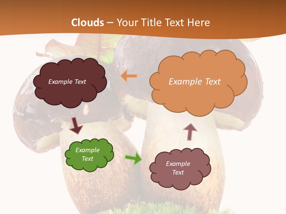 Isolated Eatable Leaf PowerPoint Template