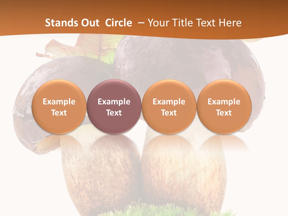 Isolated Eatable Leaf PowerPoint Template