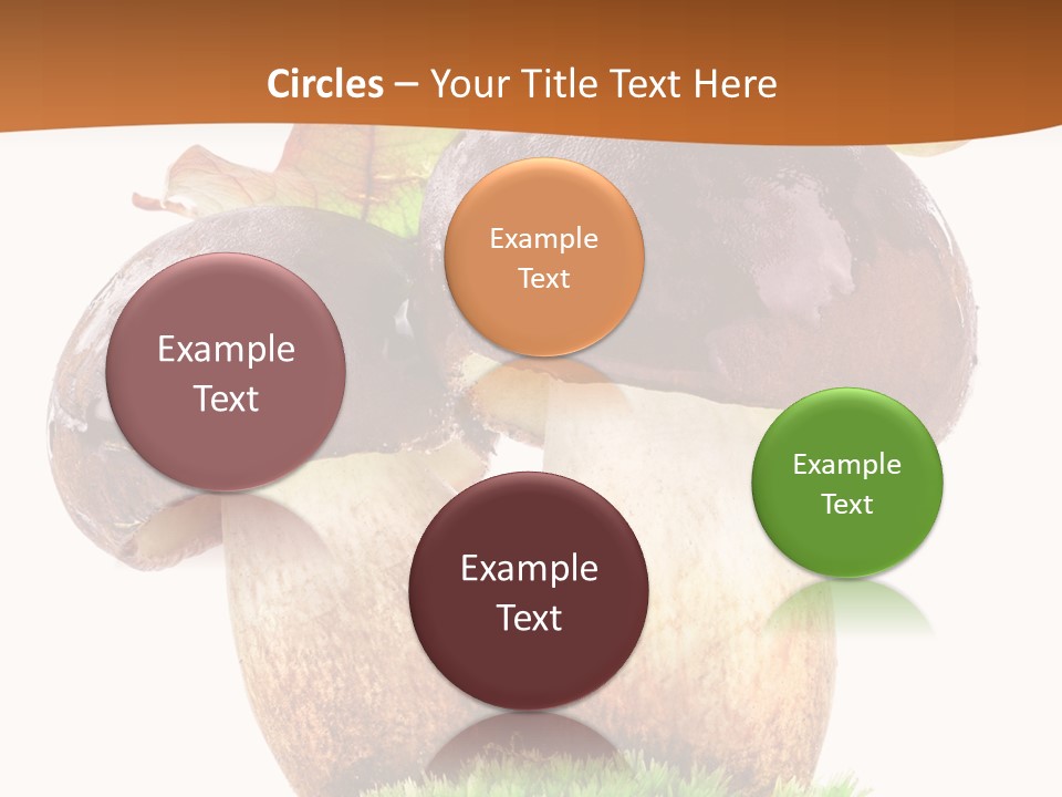 Isolated Eatable Leaf PowerPoint Template