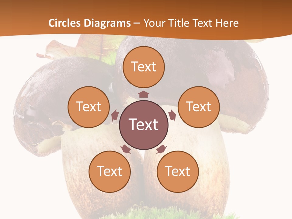 Isolated Eatable Leaf PowerPoint Template