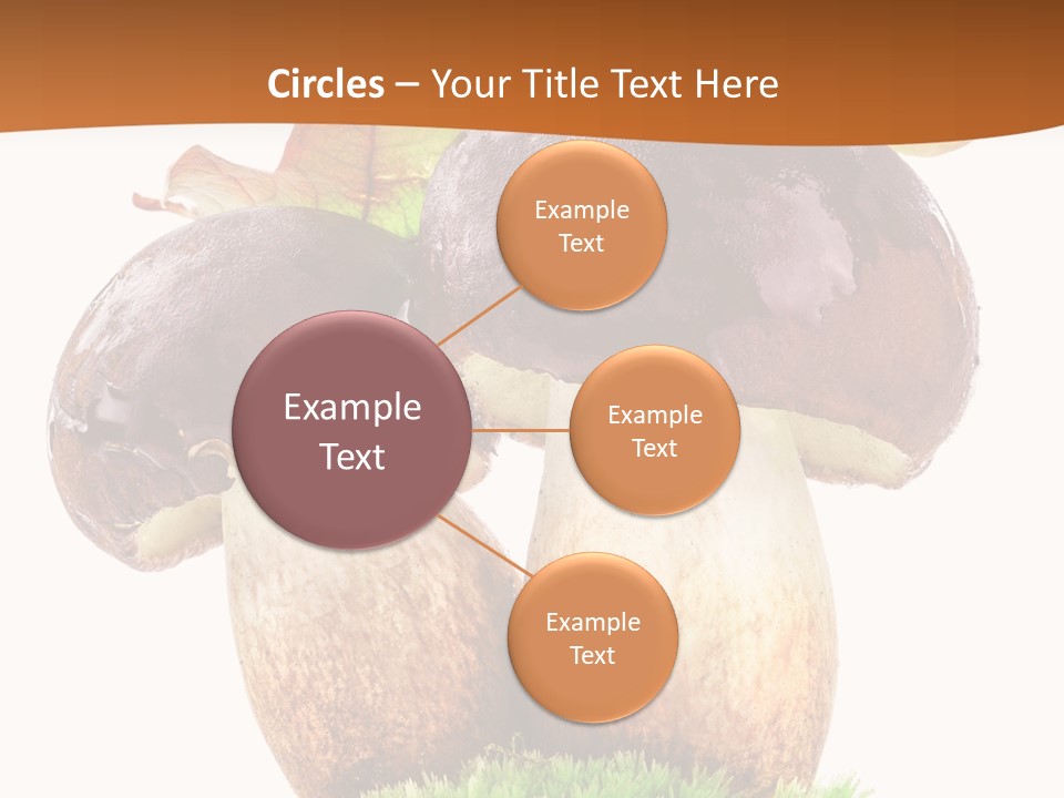 Isolated Eatable Leaf PowerPoint Template