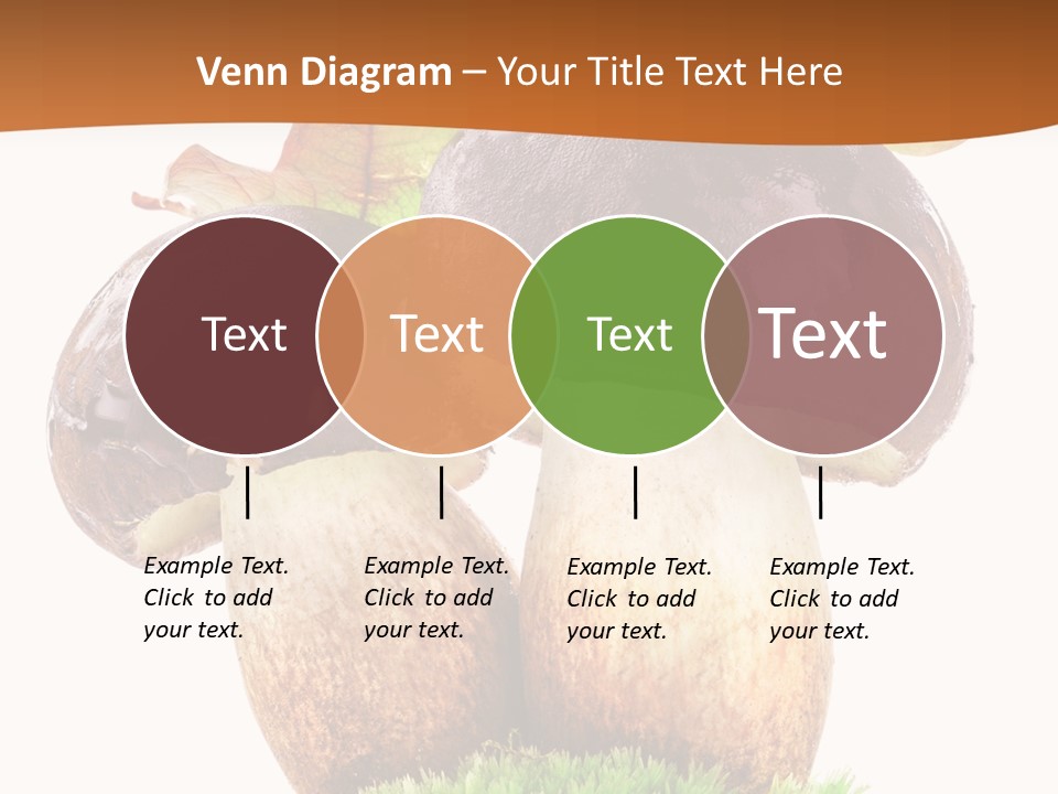 Isolated Eatable Leaf PowerPoint Template
