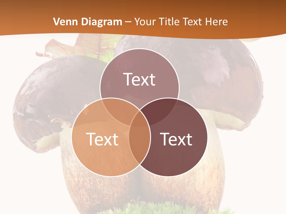 Isolated Eatable Leaf PowerPoint Template