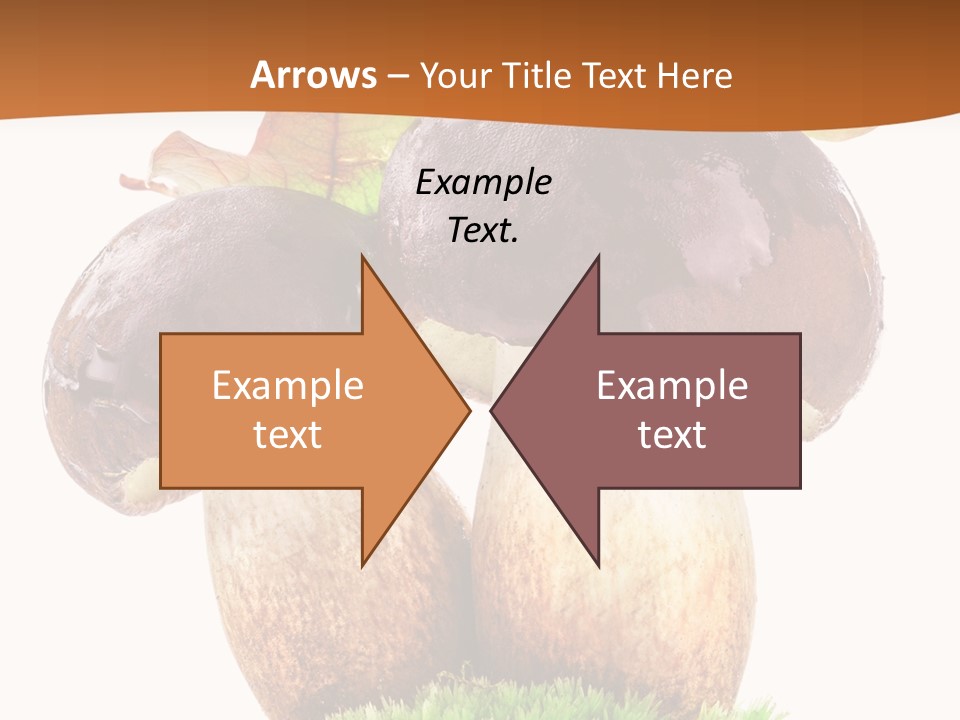 Isolated Eatable Leaf PowerPoint Template