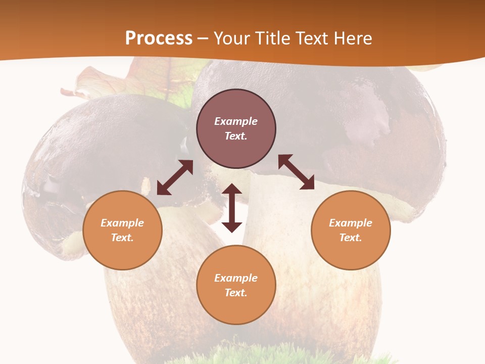 Isolated Eatable Leaf PowerPoint Template