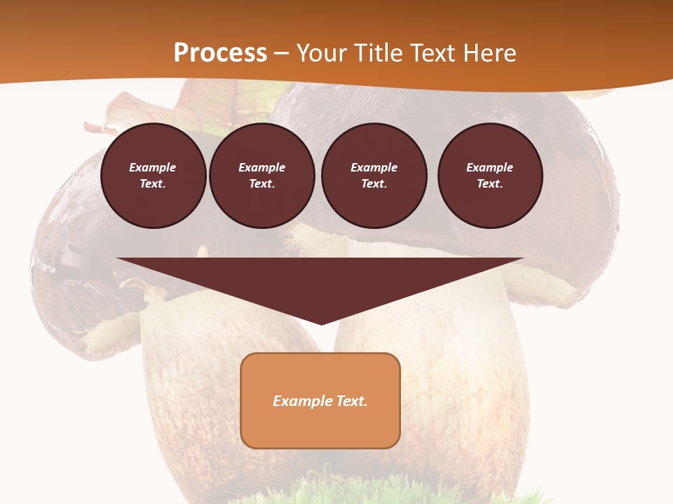 Isolated Eatable Leaf PowerPoint Template