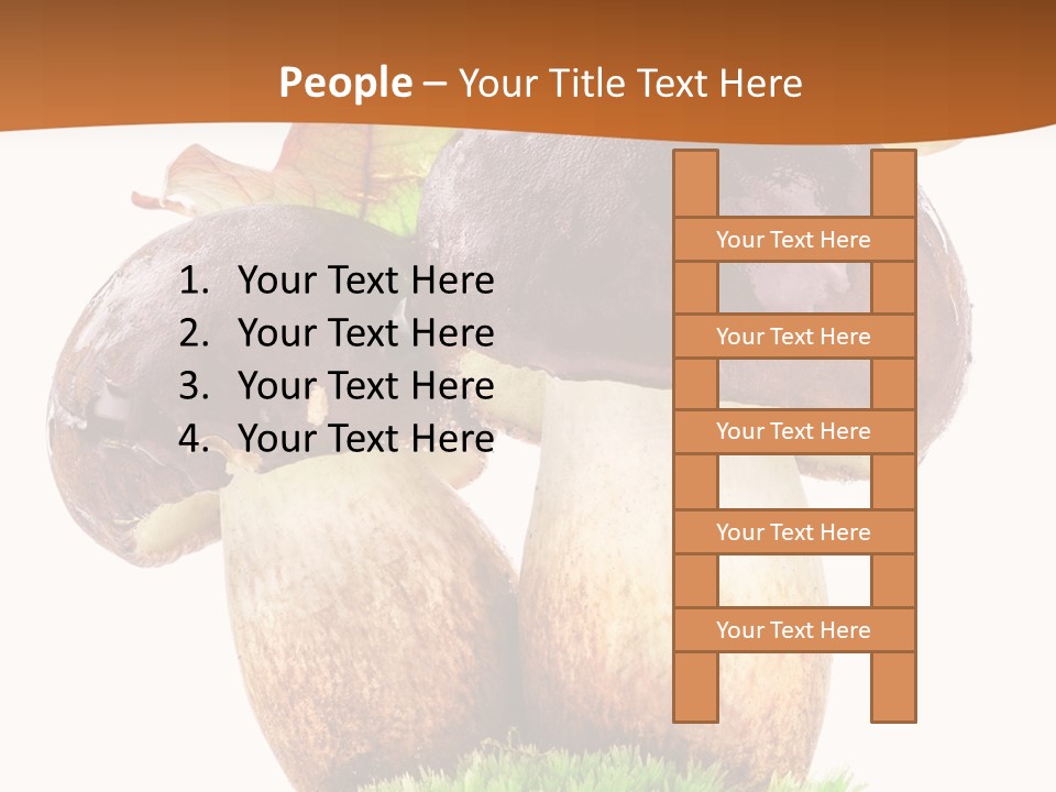 Isolated Eatable Leaf PowerPoint Template