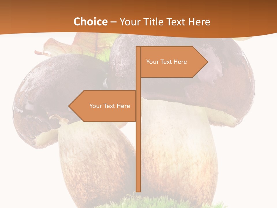 Isolated Eatable Leaf PowerPoint Template