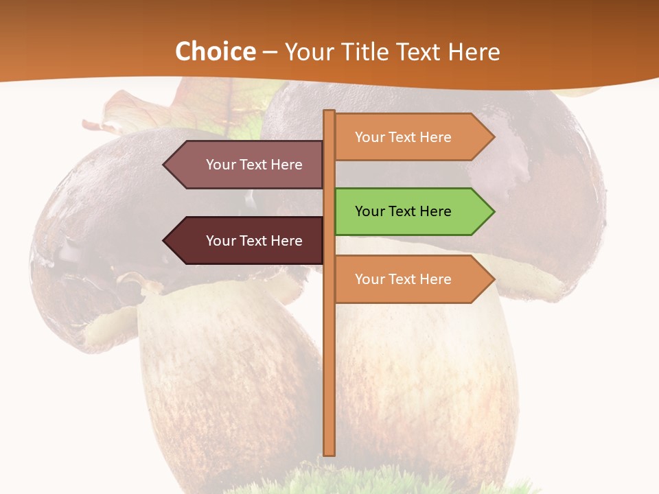 Isolated Eatable Leaf PowerPoint Template