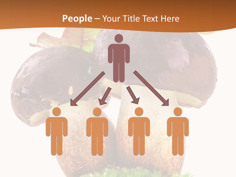 Isolated Eatable Leaf PowerPoint Template