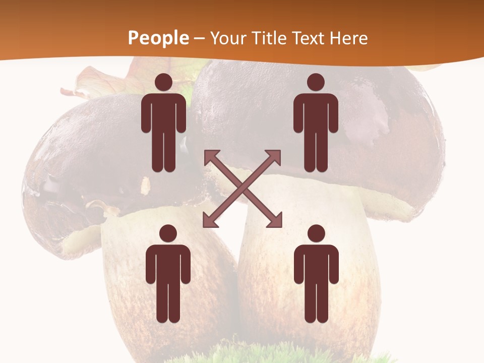 Isolated Eatable Leaf PowerPoint Template