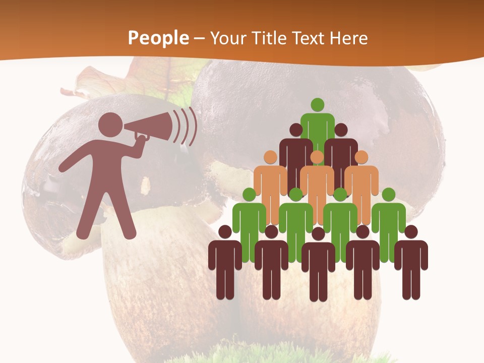 Isolated Eatable Leaf PowerPoint Template