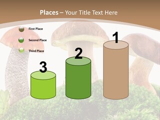 Ripe Chestnut Food PowerPoint Template