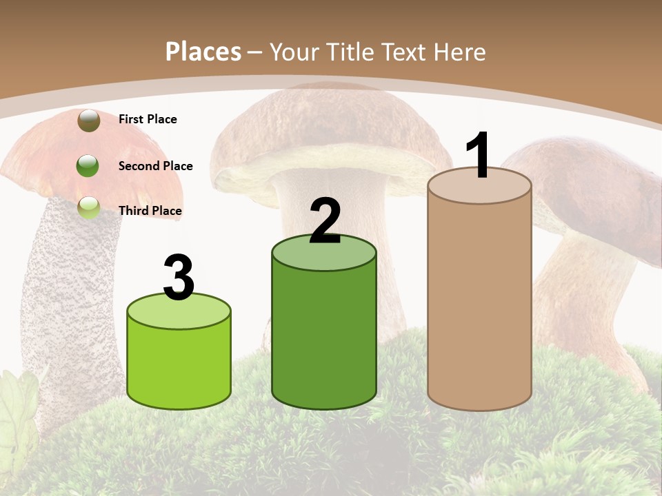 Ripe Chestnut Food PowerPoint Template