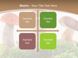 Ripe Chestnut Food PowerPoint Template