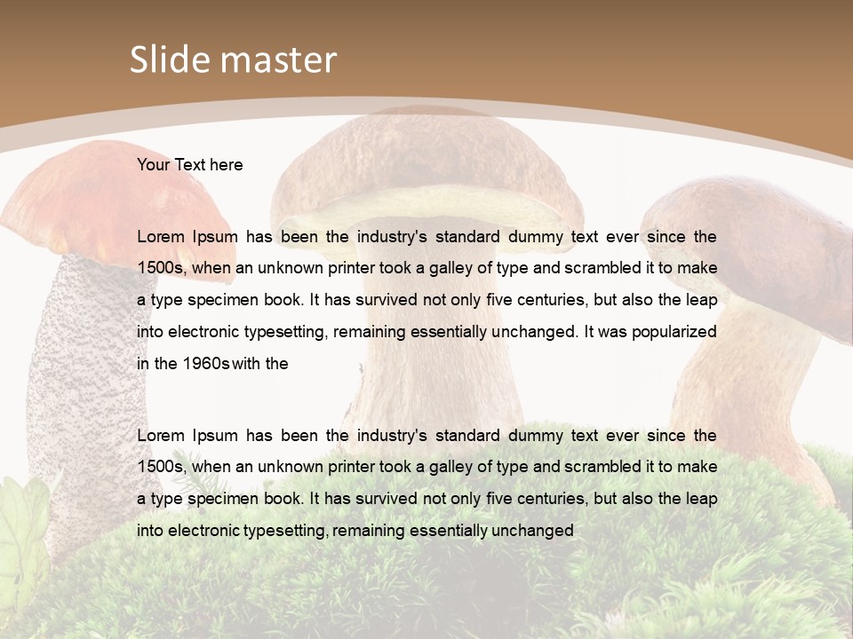 Ripe Chestnut Food PowerPoint Template