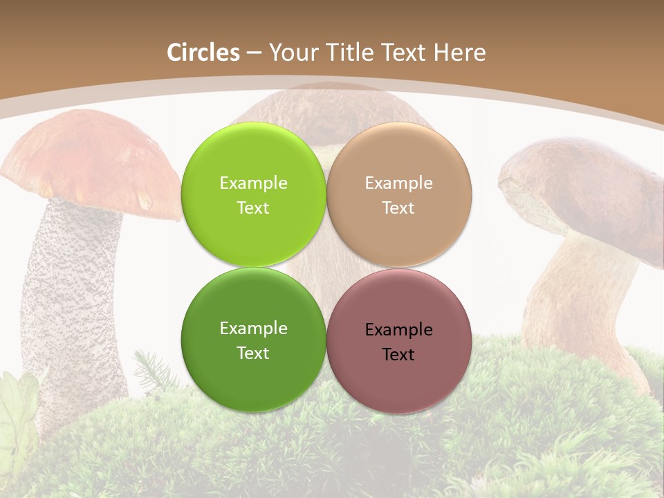 Ripe Chestnut Food PowerPoint Template