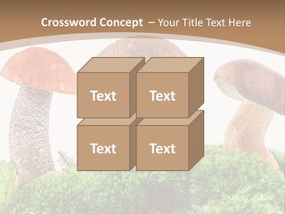 Ripe Chestnut Food PowerPoint Template