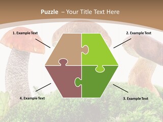 Ripe Chestnut Food PowerPoint Template