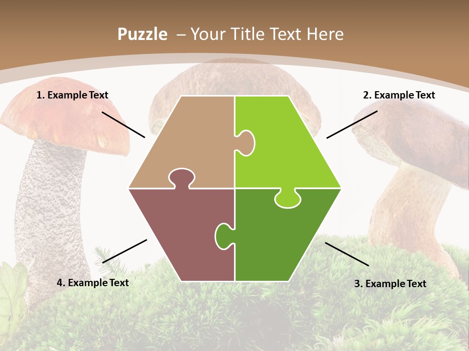 Ripe Chestnut Food PowerPoint Template