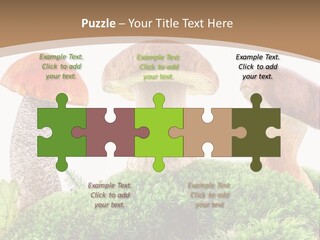 Ripe Chestnut Food PowerPoint Template