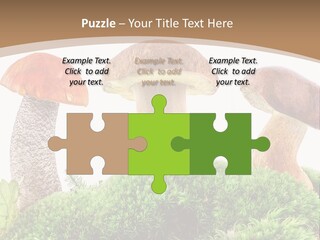 Ripe Chestnut Food PowerPoint Template