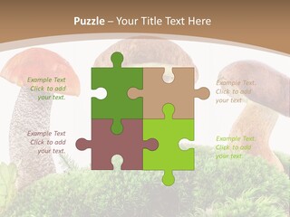 Ripe Chestnut Food PowerPoint Template