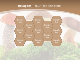 Ripe Chestnut Food PowerPoint Template