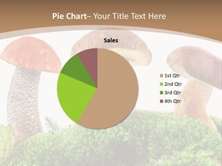 Ripe Chestnut Food PowerPoint Template