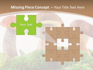 Ripe Chestnut Food PowerPoint Template