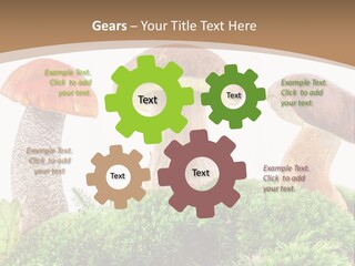 Ripe Chestnut Food PowerPoint Template