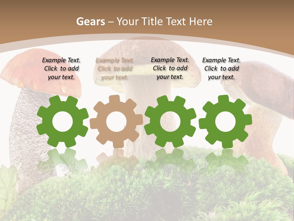 Ripe Chestnut Food PowerPoint Template