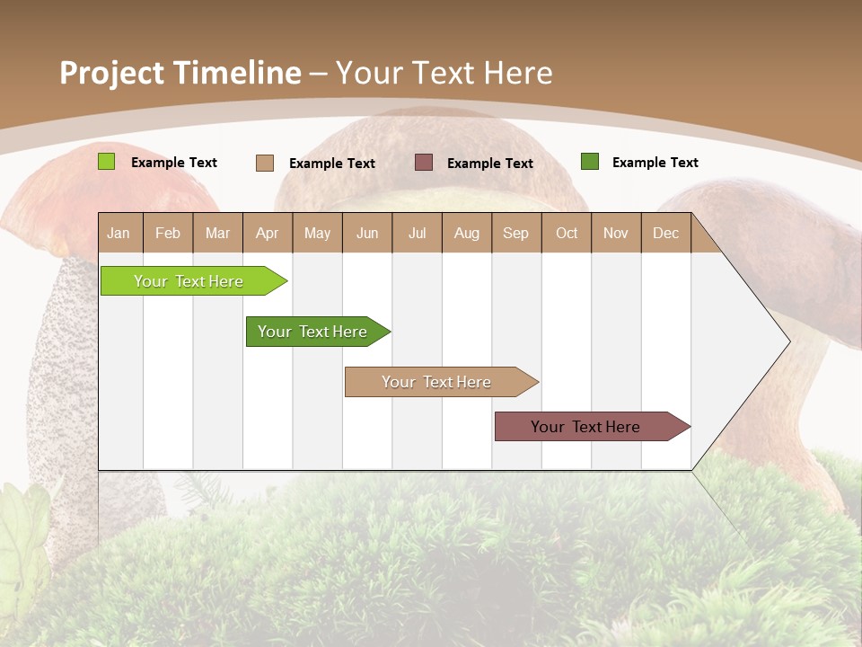 Ripe Chestnut Food PowerPoint Template