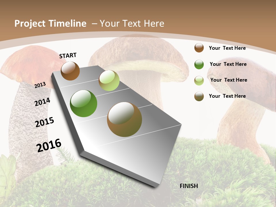 Ripe Chestnut Food PowerPoint Template