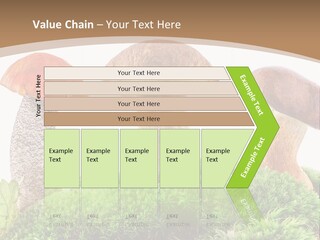 Ripe Chestnut Food PowerPoint Template