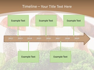 Ripe Chestnut Food PowerPoint Template