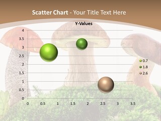 Ripe Chestnut Food PowerPoint Template