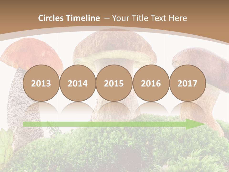 Ripe Chestnut Food PowerPoint Template