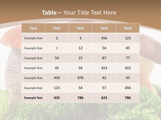 Ripe Chestnut Food PowerPoint Template
