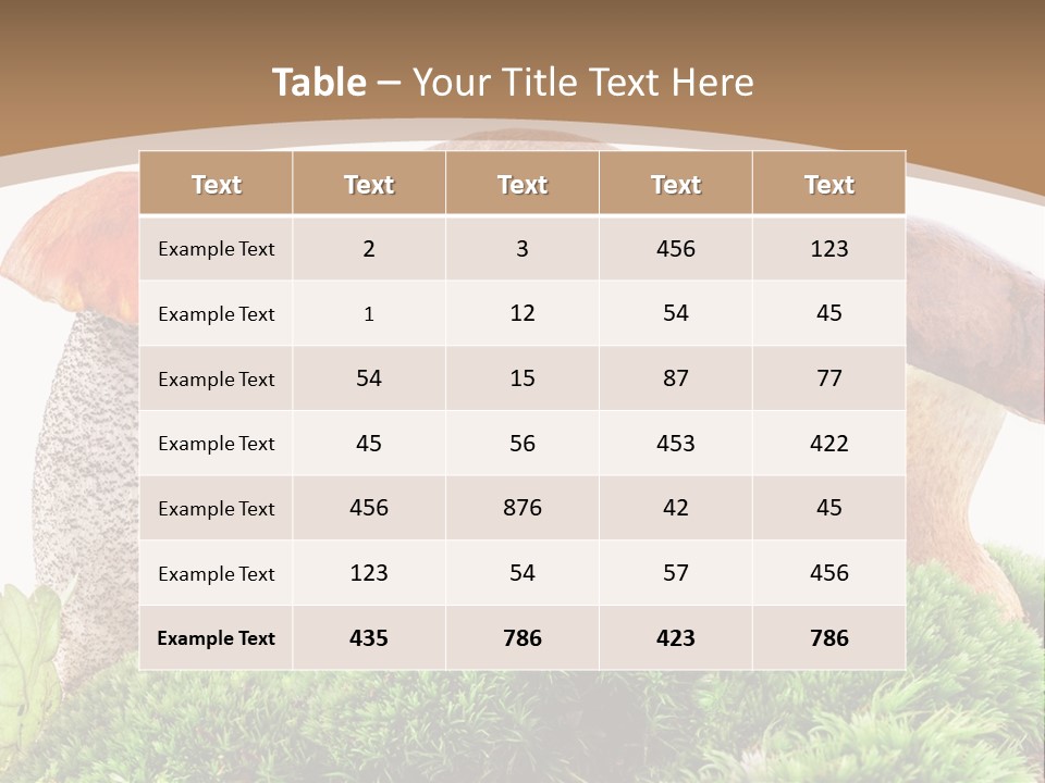 Ripe Chestnut Food PowerPoint Template