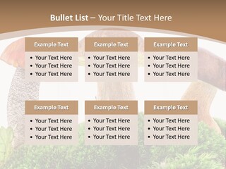 Ripe Chestnut Food PowerPoint Template