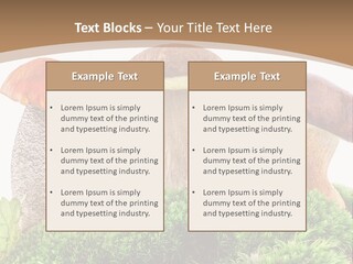 Ripe Chestnut Food PowerPoint Template
