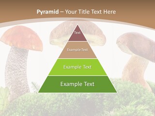 Ripe Chestnut Food PowerPoint Template