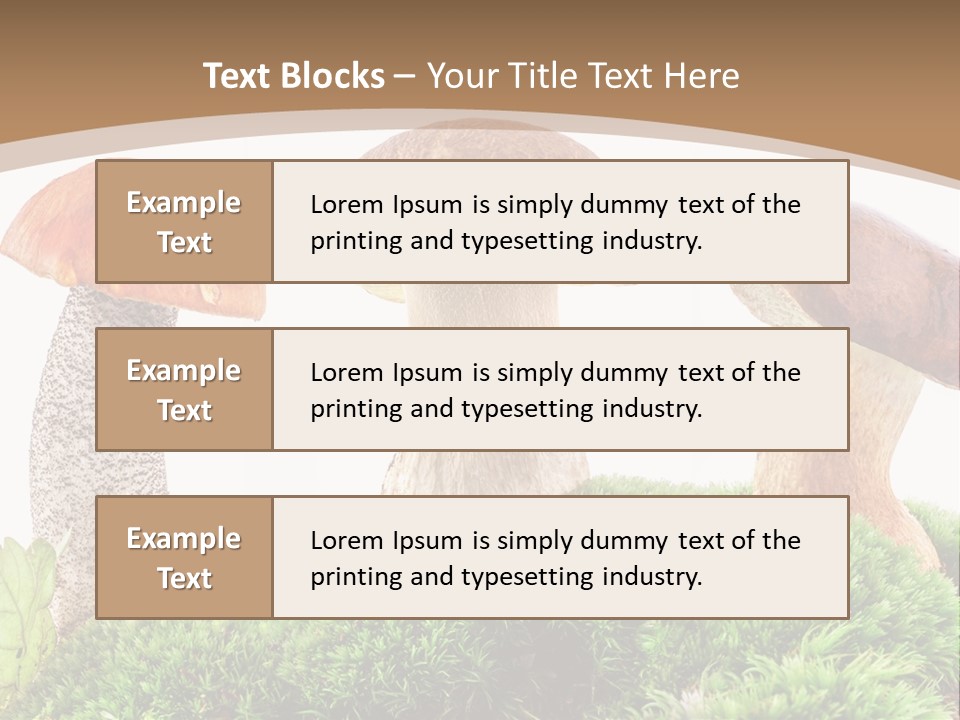 Ripe Chestnut Food PowerPoint Template